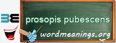 WordMeaning blackboard for prosopis pubescens